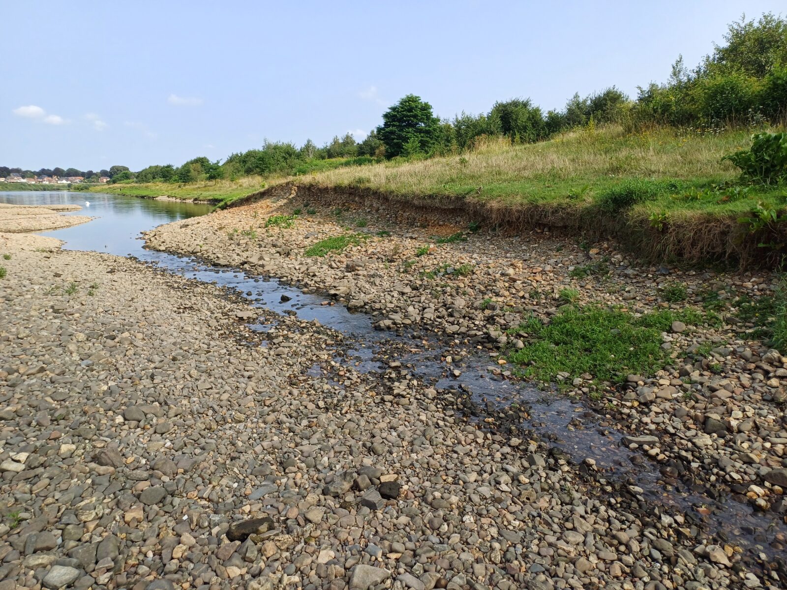 Grindbanken langs Grensmaas | Maas in Limburg