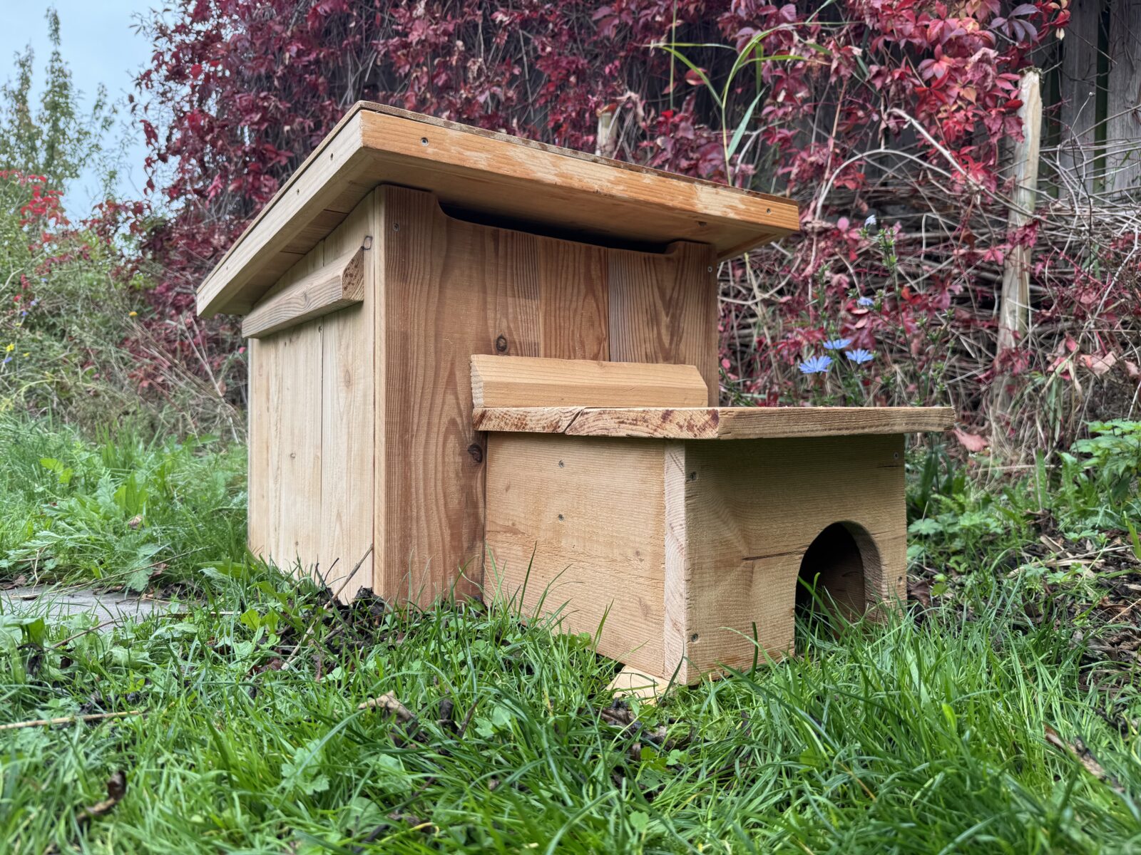 Egelkast 'Hedgy Home' - een getest hoogwaardig winterverblijf.