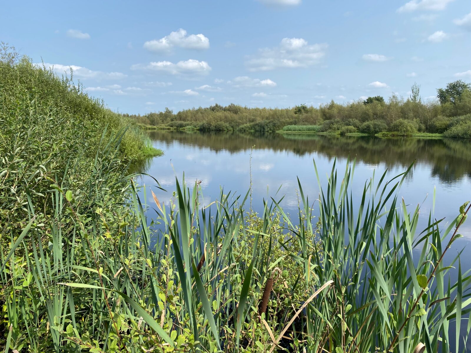 Nationaal Park de Groote Peel