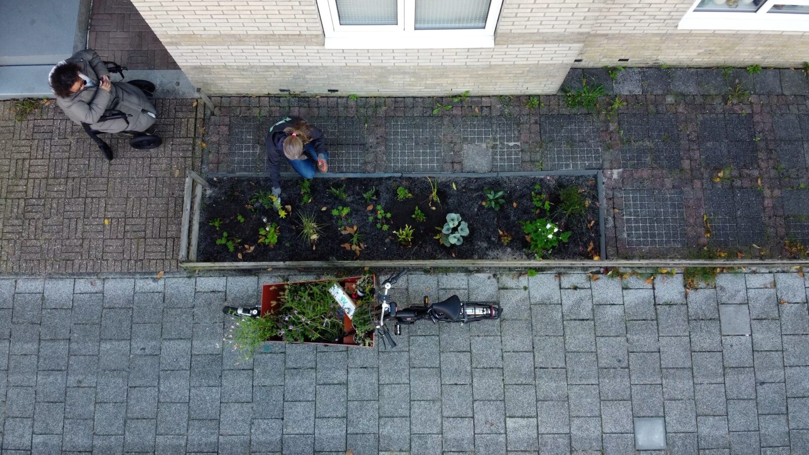 Van een versteende tuin naar een bloemenperk, mét een paar inheemse streekplanten!