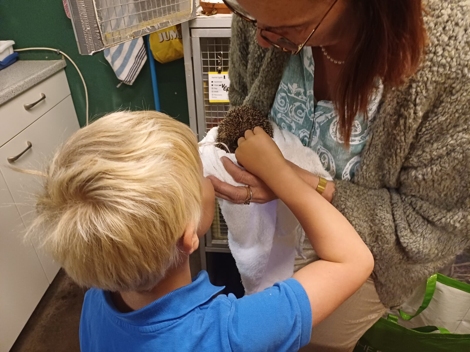 Open dag van de egelopvang in Vilsteren