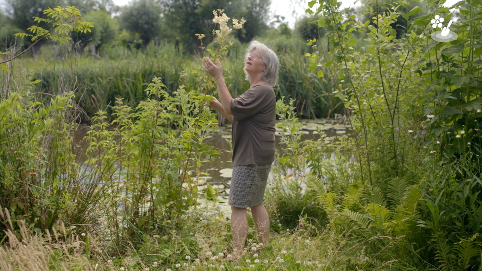 karins streektuin moerasspirea