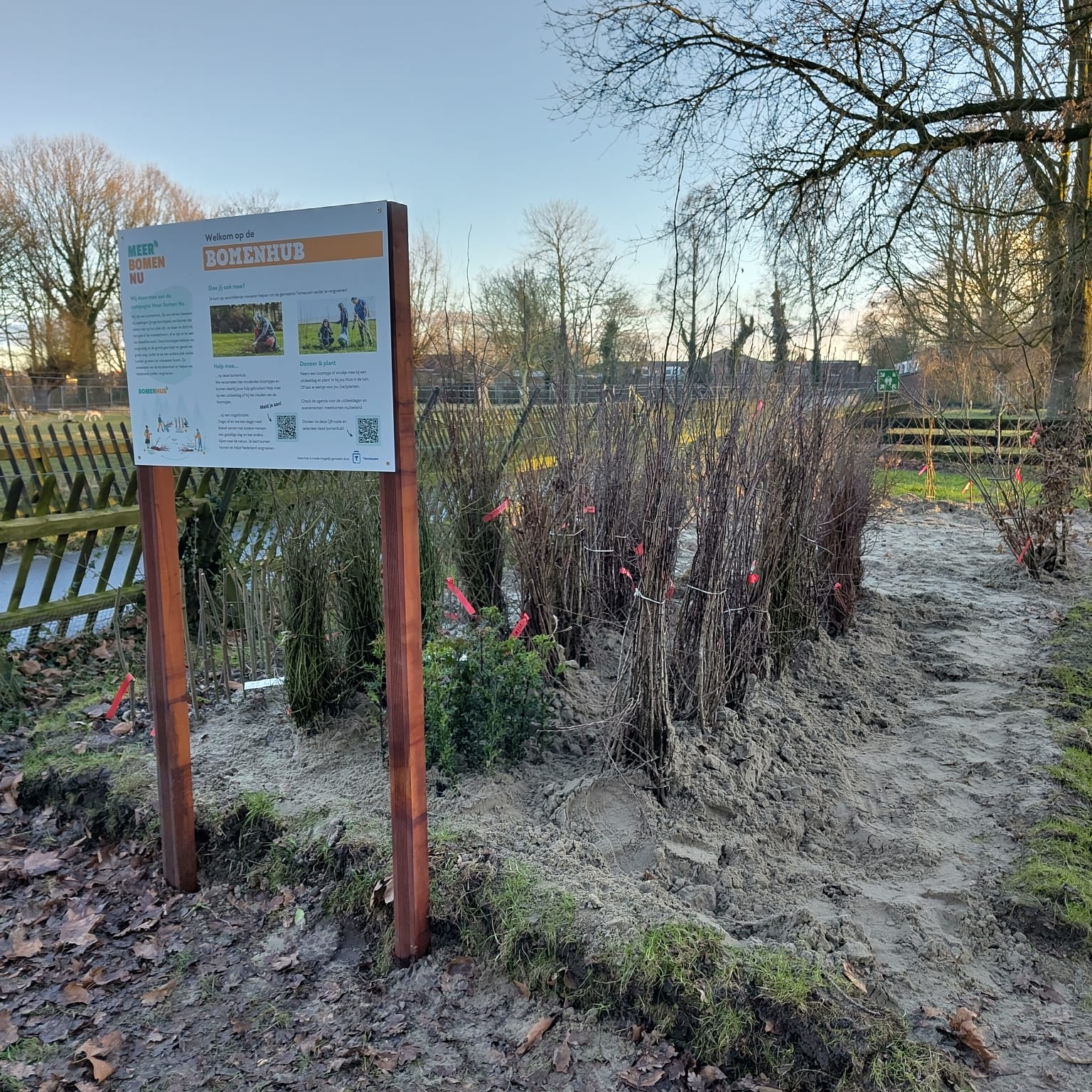 Een van de vier bomenhubs in Zeeland