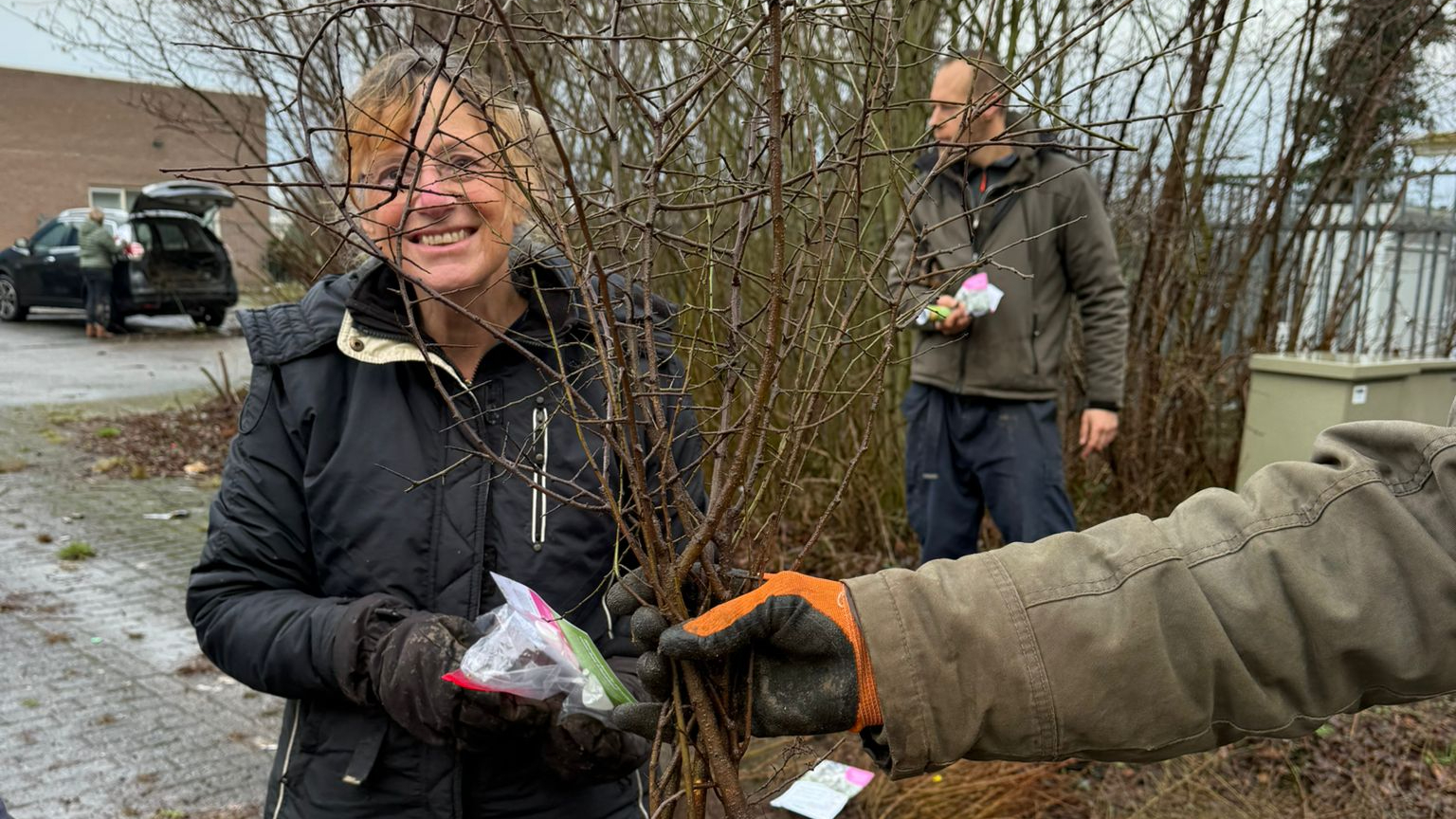 Uitdeelactie autochtoon plantgoed door Streektuinen in Olst